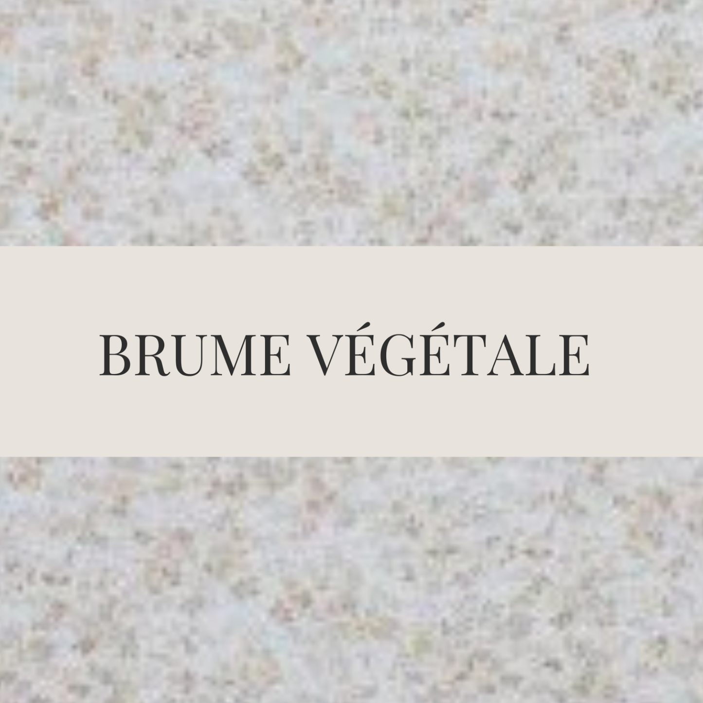 coloris brume vegetale