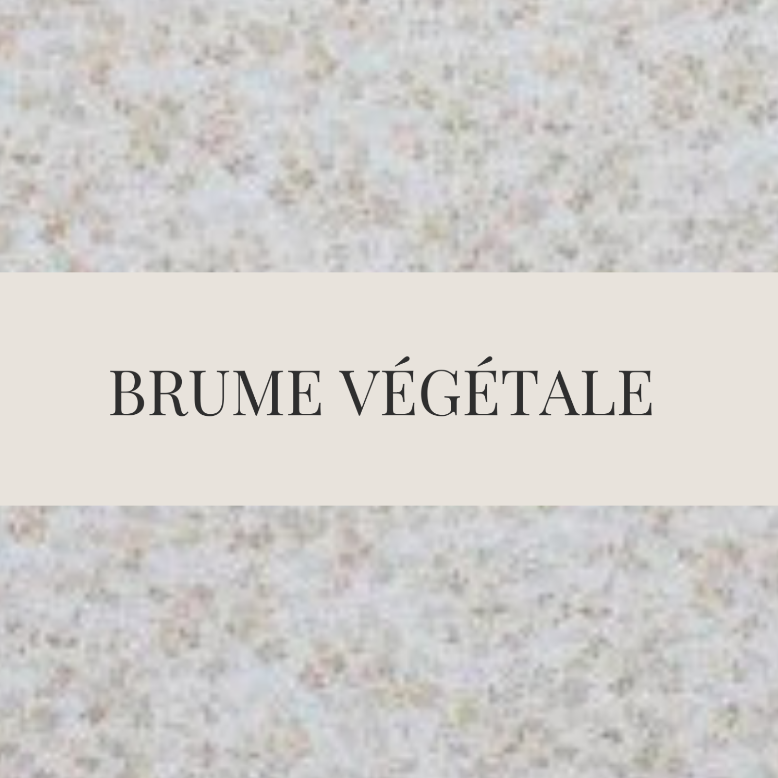coloris brume vegetale